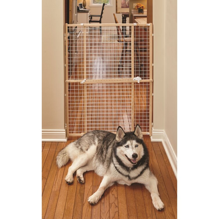 Midwest wire mesh shop pet safety gate